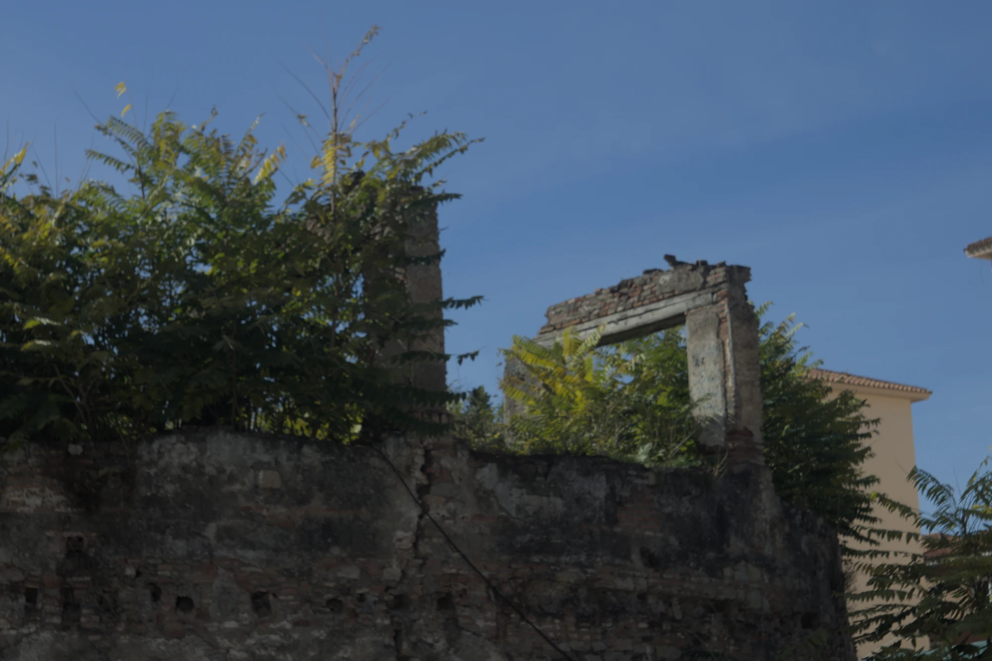 Industar-50-2 50mm f3.5 (M42) - _I4A2416.webp